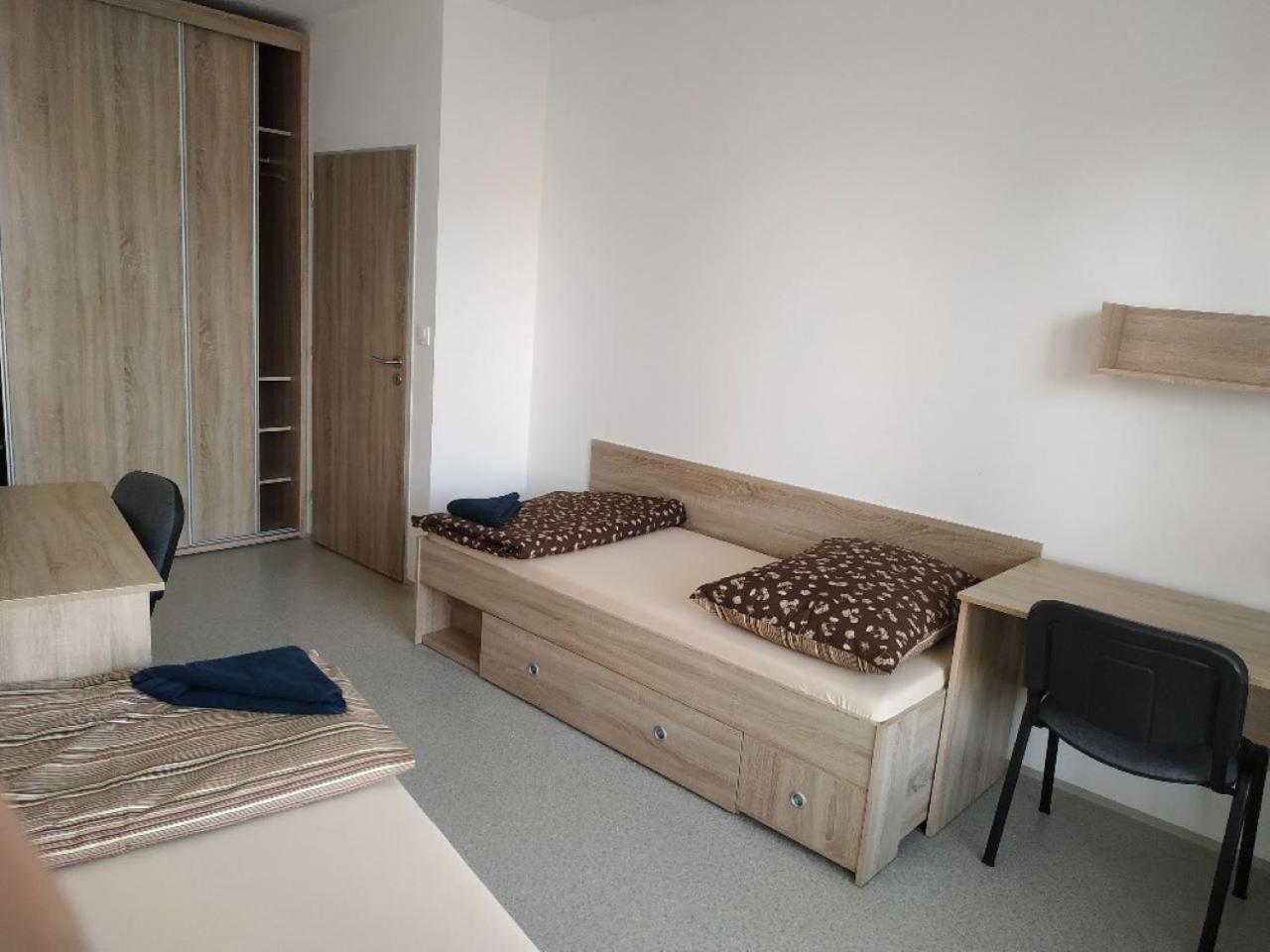 Ubytovaci Zarizeni Koleje Pedagog Ceske Budejovice Exterior foto